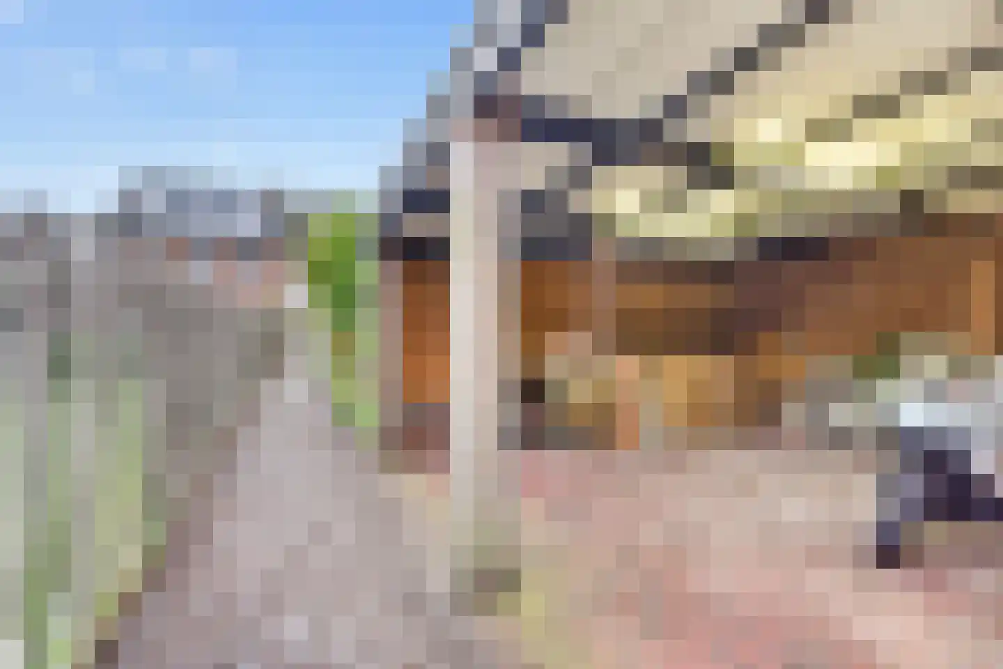 Meidoornlaan 4 Made thumbnail 51