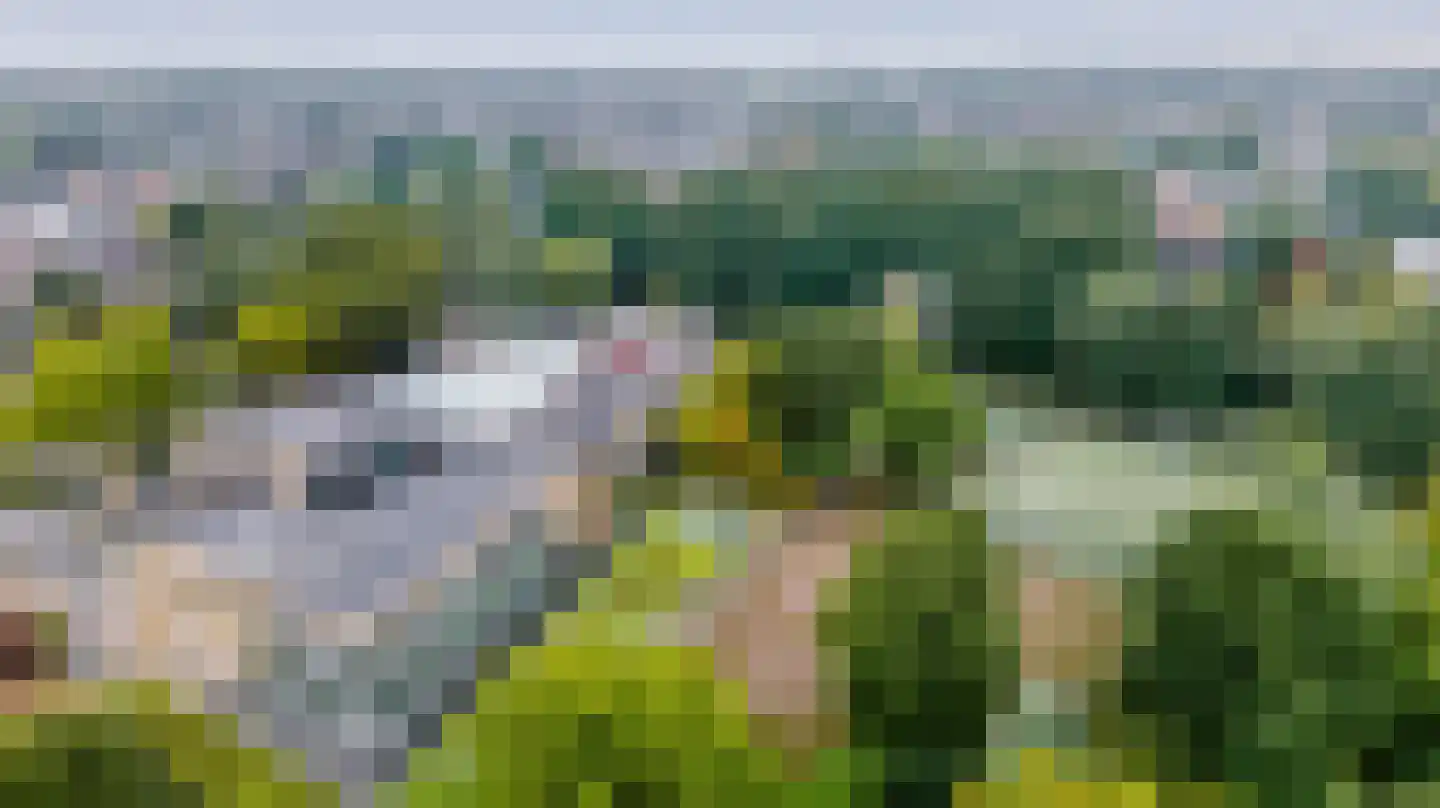 Meidoornlaan 4 Made thumbnail 62
