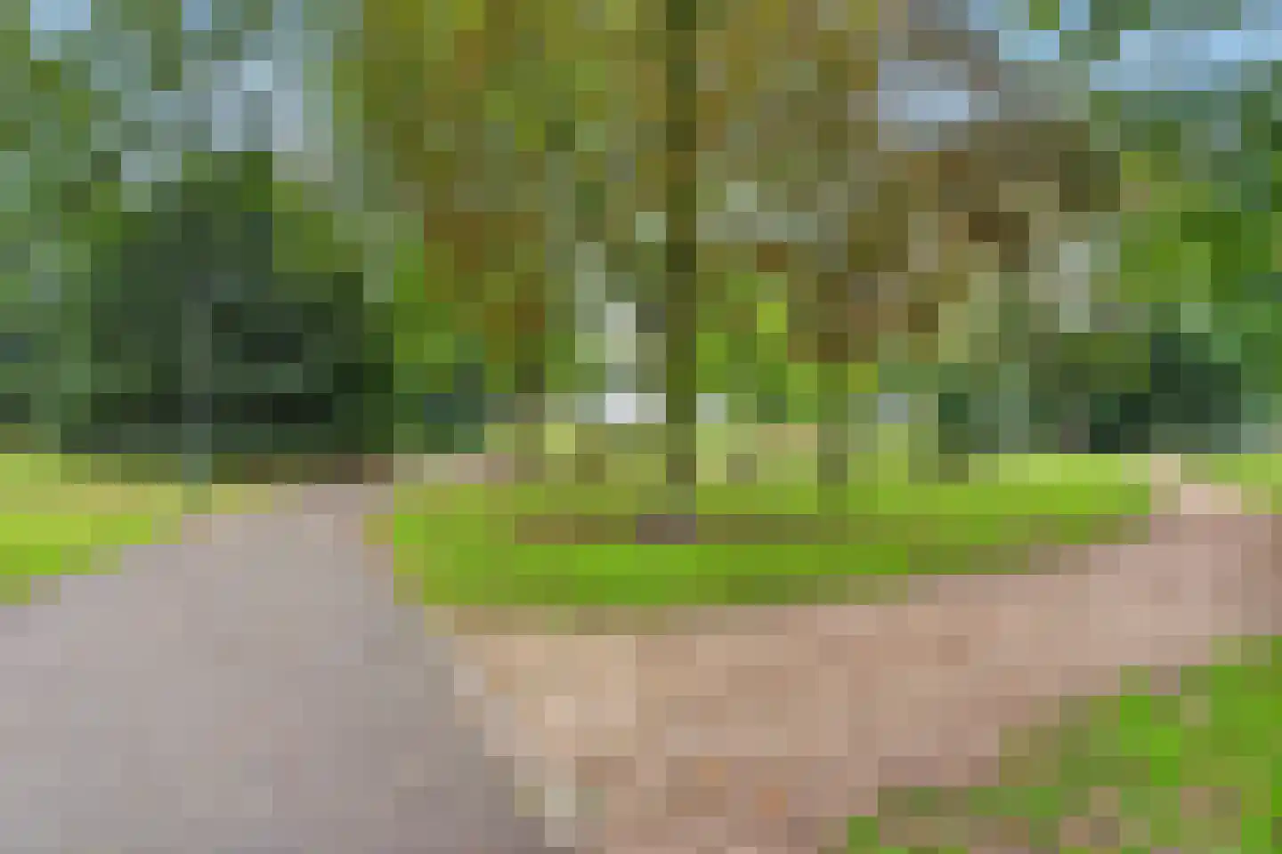 Meidoornlaan 4 Made thumbnail 63