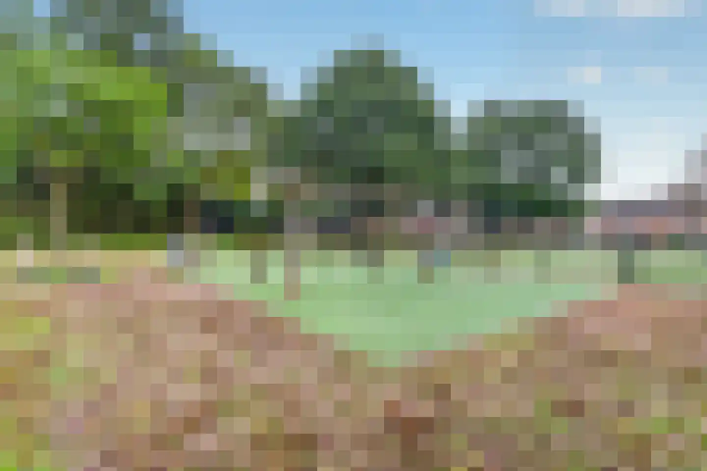 Meidoornlaan 4 Made thumbnail 65