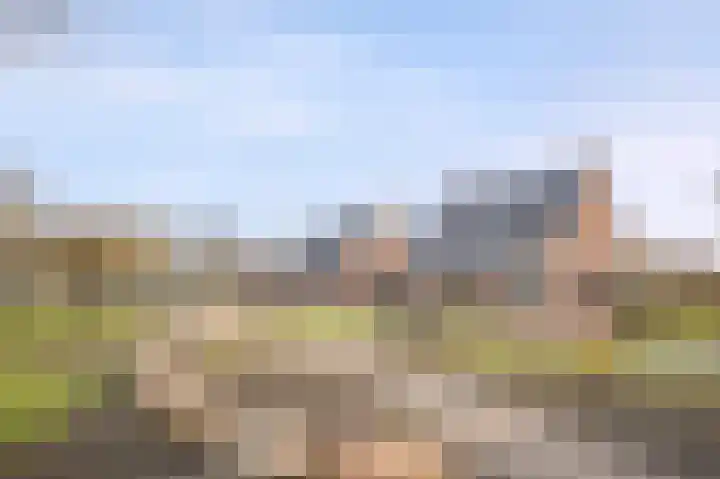 Meidoornlaan 4 Nieuwe Pekela foto 2