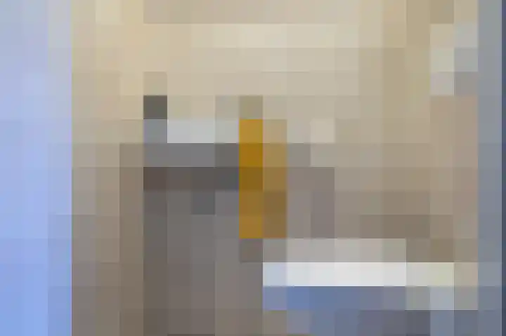 Meidoornlaan 4 Nieuwe Pekela thumbnail 32