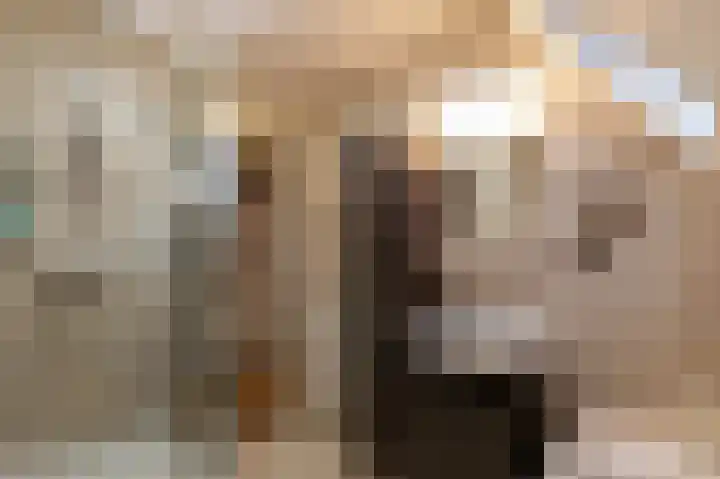Meidoornlaan 4 Nieuwe Pekela thumbnail 39