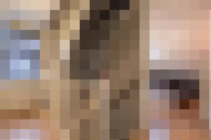 Meidoornlaan 4 Nieuwe Pekela thumbnail 40