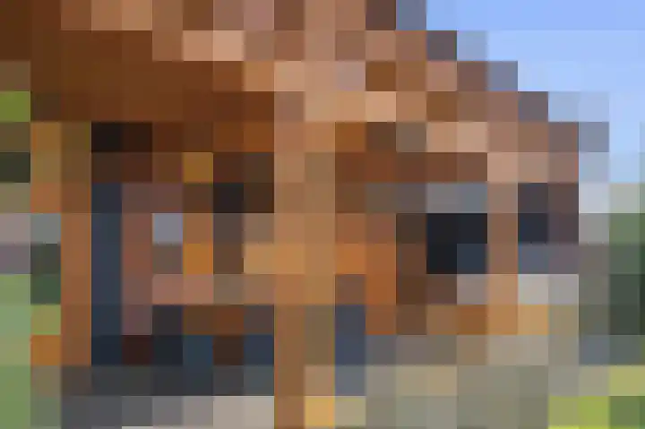 Meidoornlaan 4 Nieuwe Pekela thumbnail 49