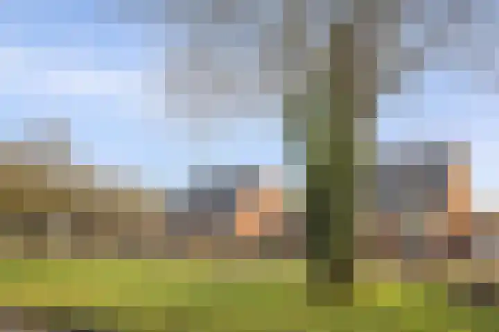 Meidoornlaan 4 Nieuwe Pekela thumbnail 60