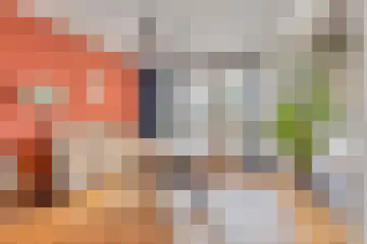 Meidoornlaan 42 Etten-Leur thumbnail 12