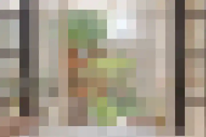 Meidoornlaan 42 Etten-Leur thumbnail 13