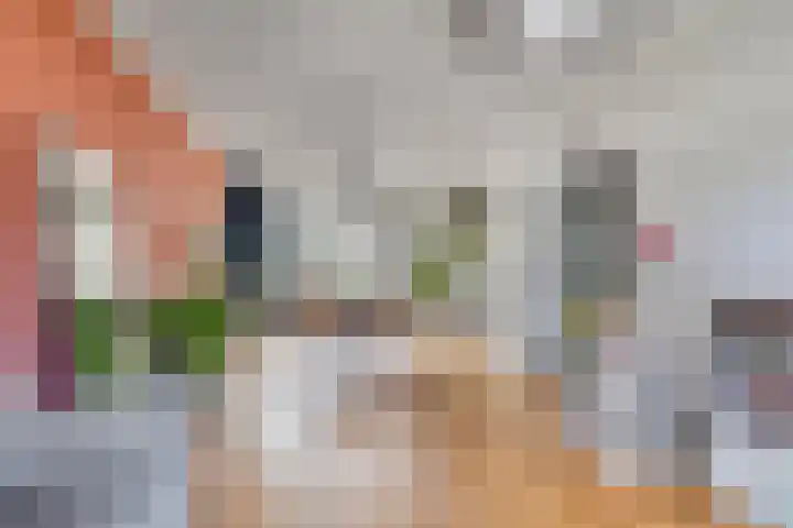 Meidoornlaan 42 Etten-Leur foto 2