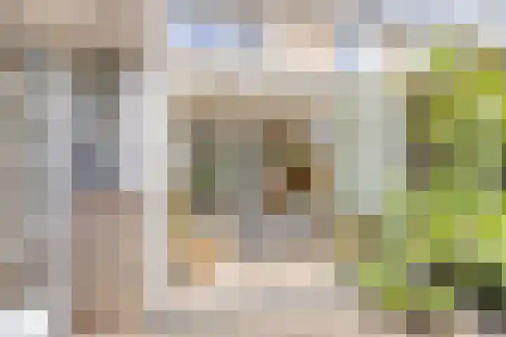 Meidoornlaan 42 Etten-Leur thumbnail 27