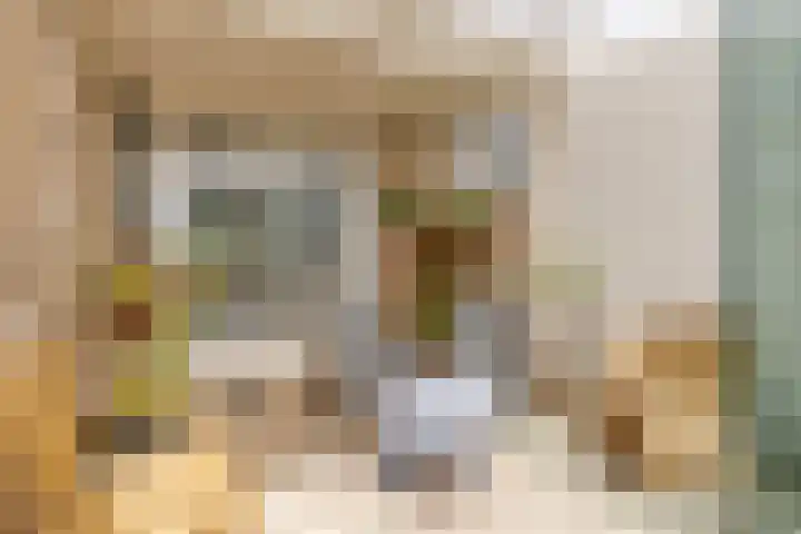 Meidoornlaan 42 Etten-Leur thumbnail 28