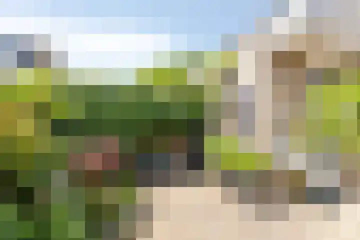 Meidoornlaan 42 Etten-Leur thumbnail 29