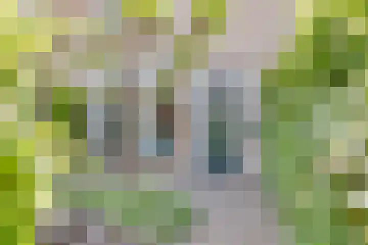 Meidoornlaan 42 Etten-Leur thumbnail 31