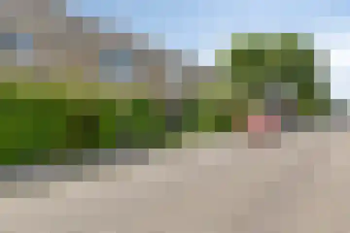 Meidoornlaan 42 Etten-Leur thumbnail 32