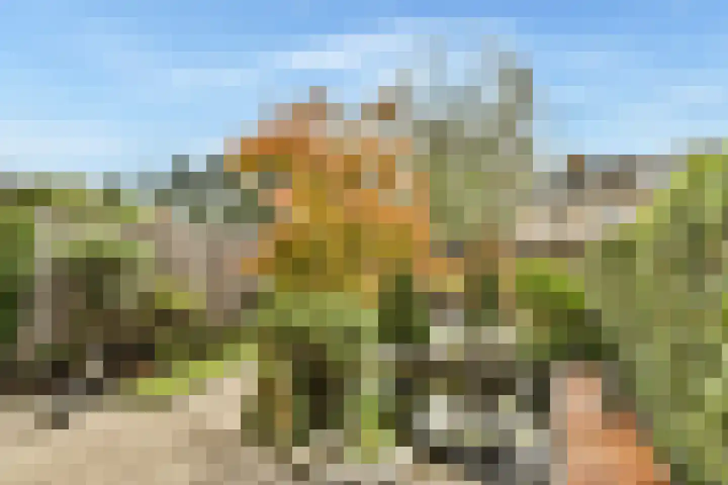 Meidoornlaan 43 Dordrecht thumbnail 7