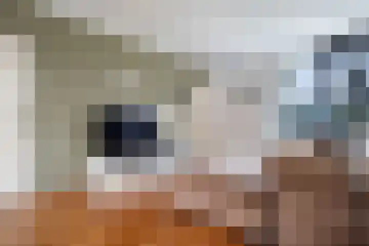 Meidoornlaan 45 Glimmen thumbnail 12