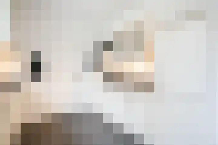 Meidoornlaan 45 Glimmen thumbnail 20