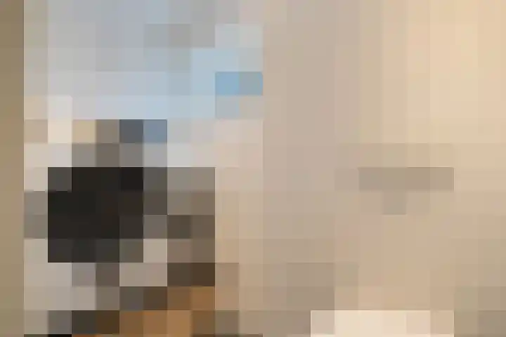 Meidoornlaan 45 Glimmen thumbnail 33