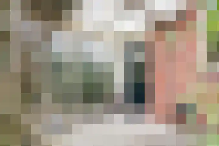 Meidoornlaan 45 Glimmen thumbnail 35