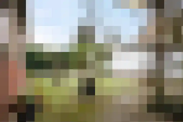 Meidoornlaan 45 Glimmen thumbnail 37