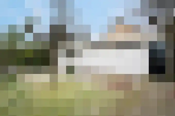 Meidoornlaan 45 Glimmen thumbnail 41