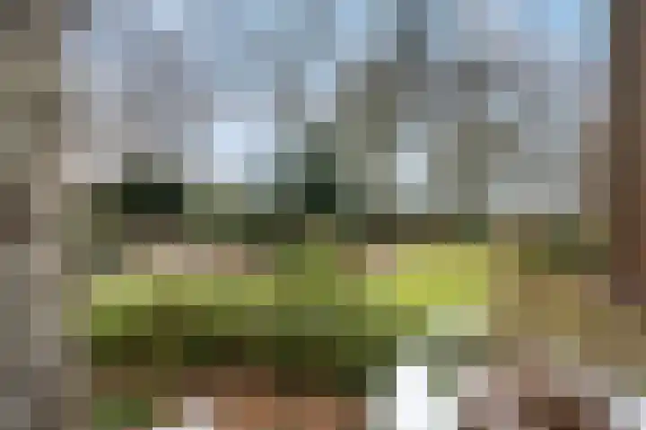 Meidoornlaan 45 Glimmen thumbnail 49