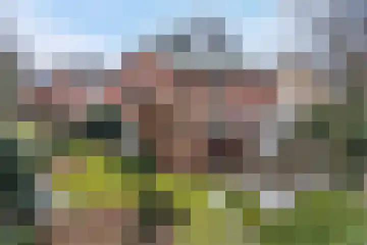 Meidoornlaan 45 Glimmen thumbnail 53