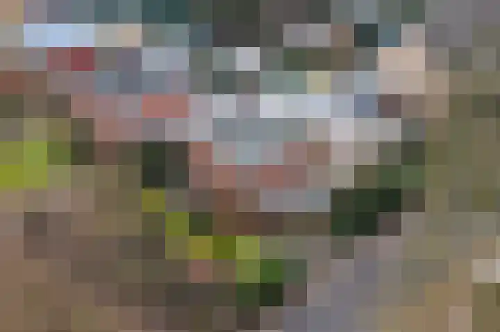 Meidoornlaan 45 Glimmen thumbnail 54
