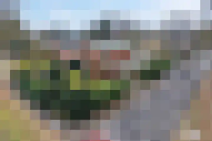 Meidoornlaan 45 Glimmen thumbnail 6