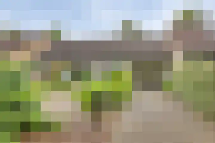 Meidoornlaan 5 dans Dalfsen