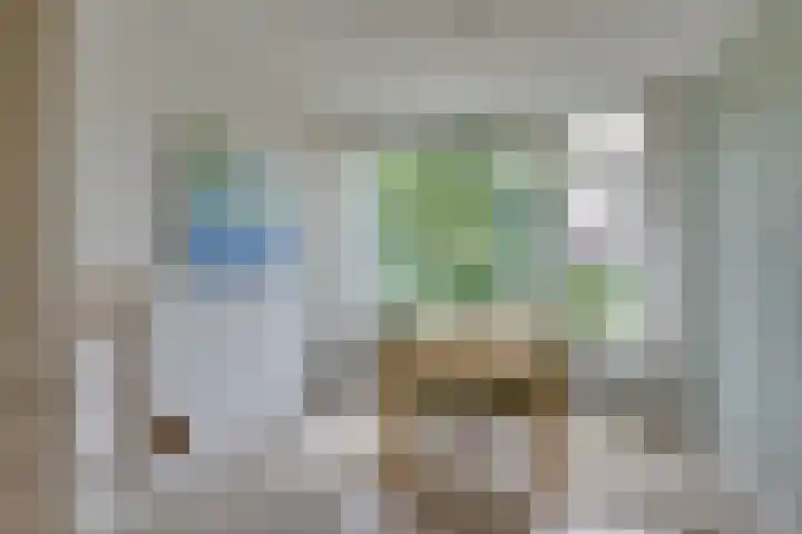 Meidoornlaan 5 Dalfsen thumbnail 13