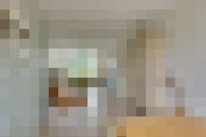 Meidoornlaan 5 Dalfsen thumbnail 14