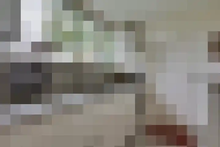 Meidoornlaan 5 Dalfsen thumbnail 15