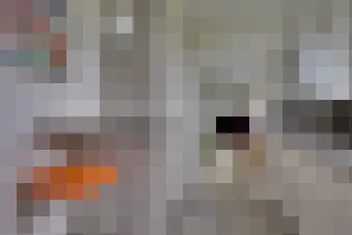 Meidoornlaan 5 Dalfsen thumbnail 16