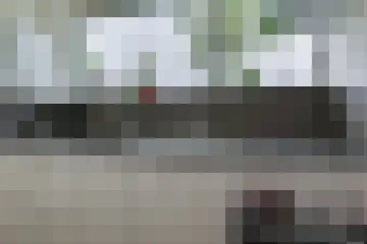 Meidoornlaan 5 Dalfsen thumbnail 17