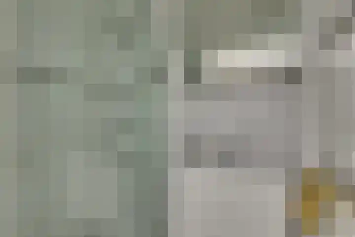 Meidoornlaan 5 Dalfsen thumbnail 20
