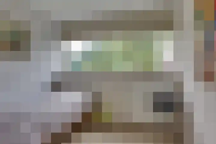 Meidoornlaan 5 Dalfsen thumbnail 21