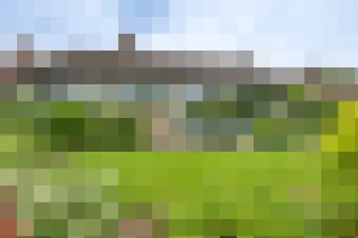 Meidoornlaan 5 Dalfsen foto 3