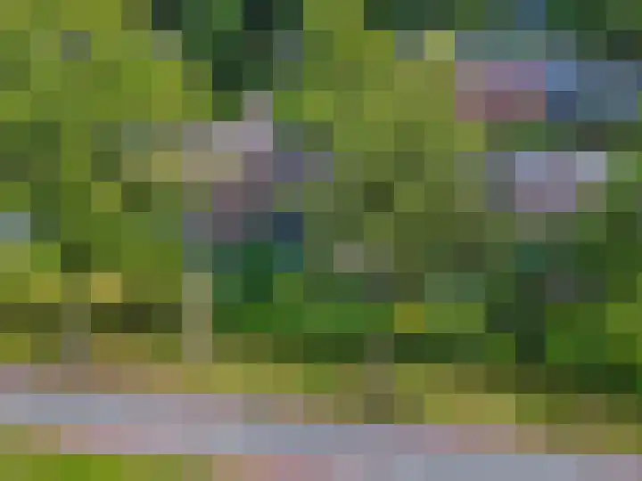 Meidoornlaan 5 Dalfsen thumbnail 30