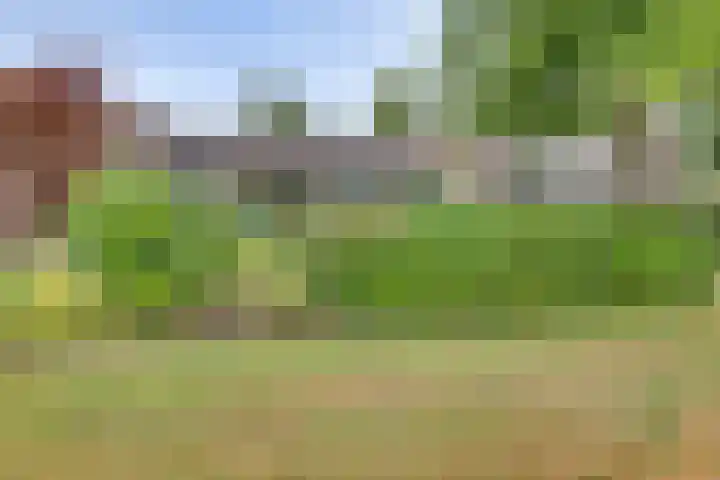 Meidoornlaan 5 Dalfsen thumbnail 32