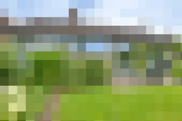 Meidoornlaan 5 Dalfsen thumbnail 33