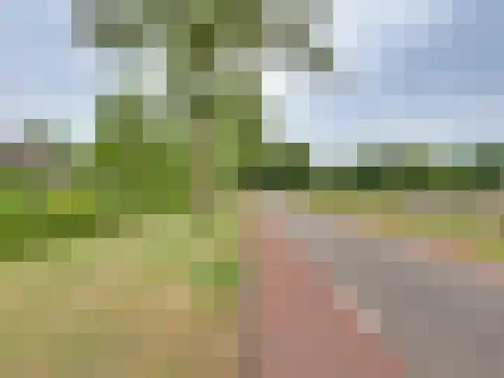 Meidoornlaan 5 Dalfsen thumbnail 37