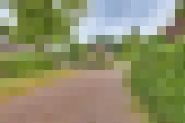 Meidoornlaan 5 Dalfsen thumbnail 38