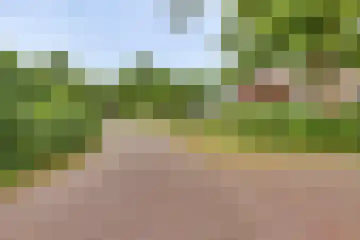 Meidoornlaan 5 Dalfsen thumbnail 39