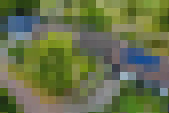 Meidoornlaan 5 Dalfsen thumbnail 4