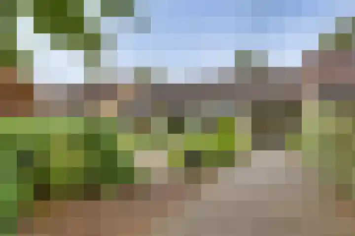 Meidoornlaan 5 Dalfsen thumbnail 40