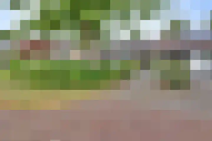 Meidoornlaan 5 Dalfsen thumbnail 41