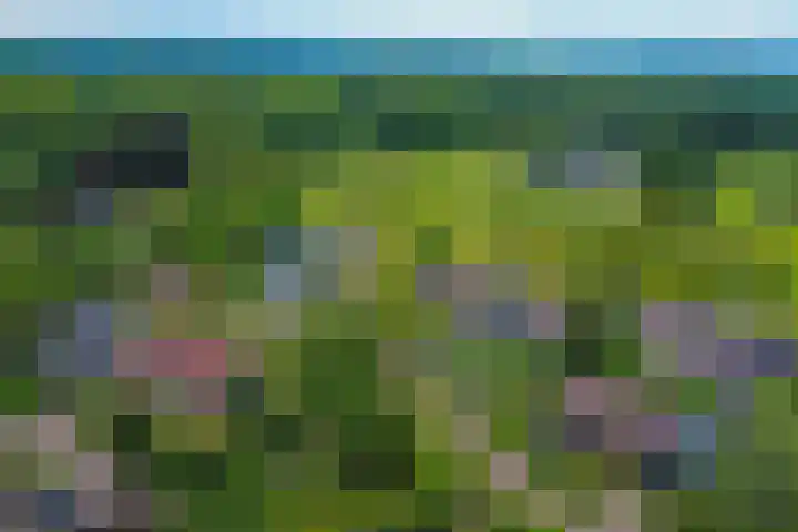 Meidoornlaan 5 Dalfsen thumbnail 42