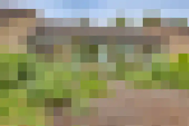 Meidoornlaan 5 Dalfsen thumbnail 5
