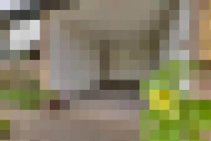 Meidoornlaan 5 Dalfsen thumbnail 6